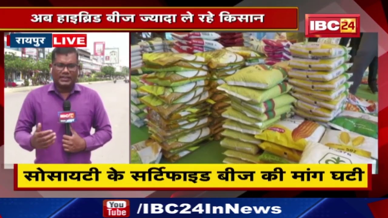 Hybrid Seed : बीज खरीदी में किसानों की पसंद बदली | अब हाइब्रिड बीज ज्यादा ले रहे किसान….