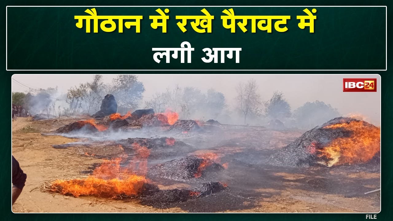 Bemetara News : गौठान में रखे पैरावट में लगी आग | समान सहित नगदी भी जलकर खाक…