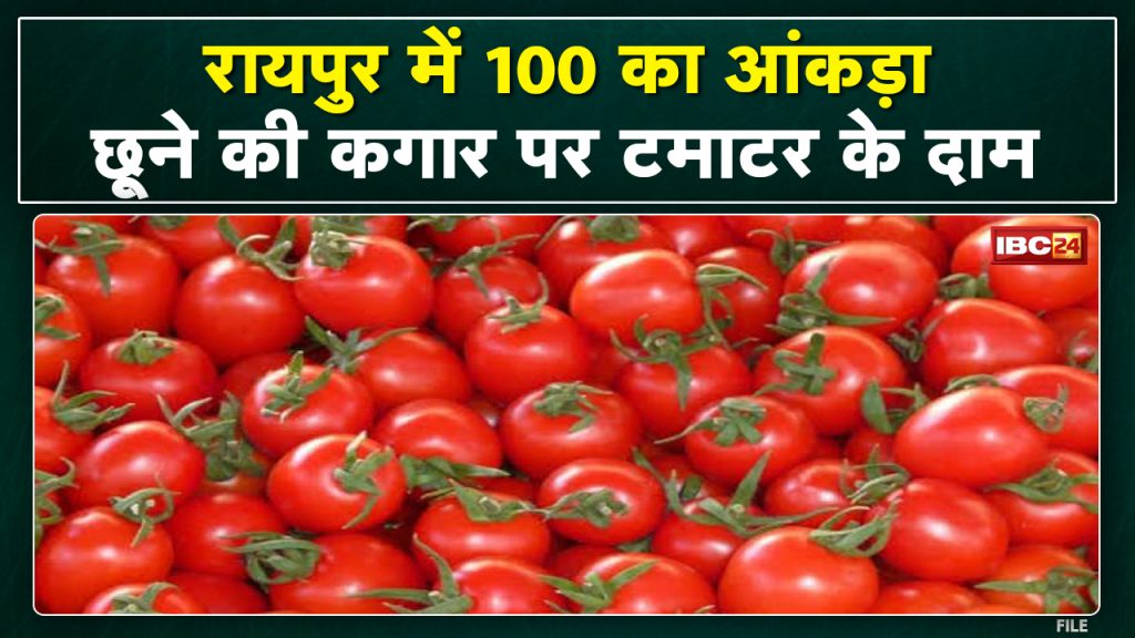 People upset due to increase in tomato prices in MP-CG. 1 carat getting 1200 to 1400 in Mandi