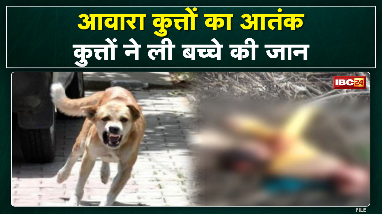 Breaking News : आवारा कुत्तों ने 7 साल के मासूम को मारकर खाया | रात को साइकिल चलाने निकला था मासूम