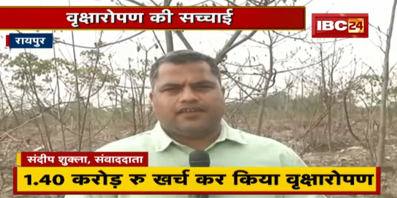 वृक्षारोपण की सच्चाई। 1.40 करोड़ रुपए खर्च कर किया वृक्षारोपण । सिंचाई के आभाव में सुख गए पेड़