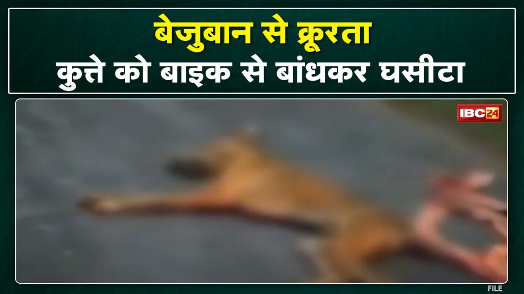 Hois dog subject to cruelty in Bhilai | The young man is a dog and dragged on a bike...