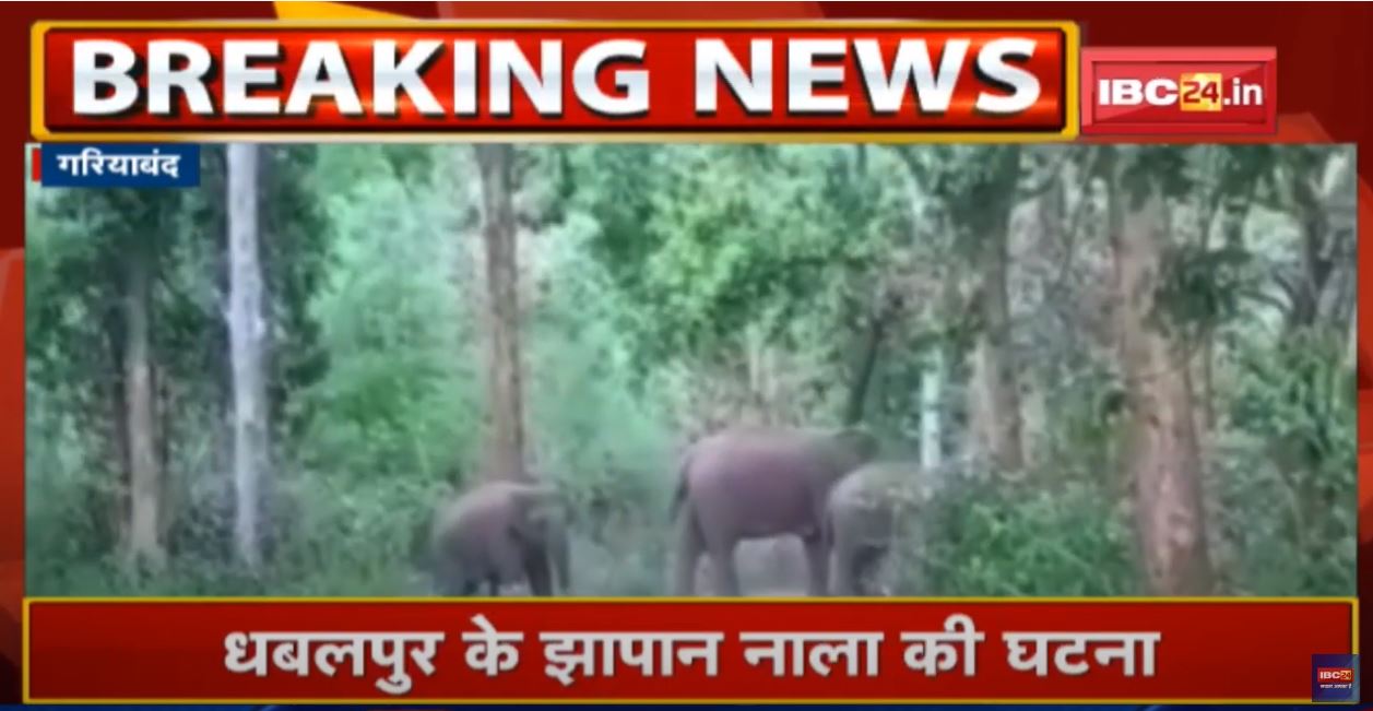 Gariyaband Elephant Attack: झोपड़ी में सो रही महिला को हाथी ने कुचला | पति और बेटे ने भागकर बचाई जान