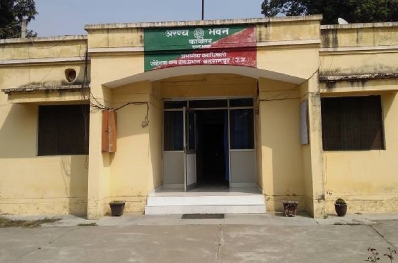 महीनों से नहीं मिली वन विभाग के इन कर्मचारियों को सैलरी, परेशान होकर उठाया ये बड़ा कदम