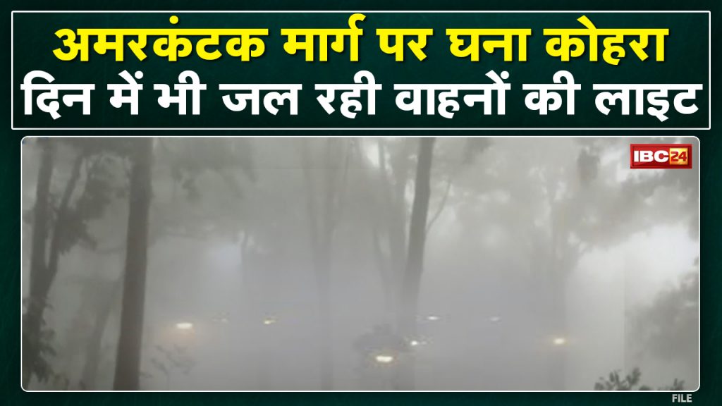 Amarkantak Fog : Shadow fog on Amarkantak road. In the video, see the lights of vehicles burning even during the day...