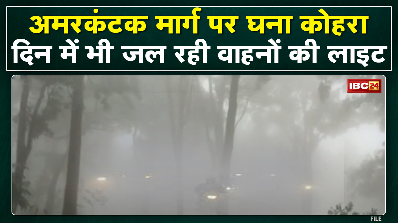 Amarkantak Fog : अमरकंटक मार्ग पर छाया कोहरा | Video में देखिए दिन में भी जल रही वाहनों की लाइट…