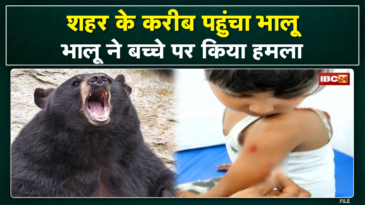 Child injured in bear attack in Ambikapur Forest Department in search of bear