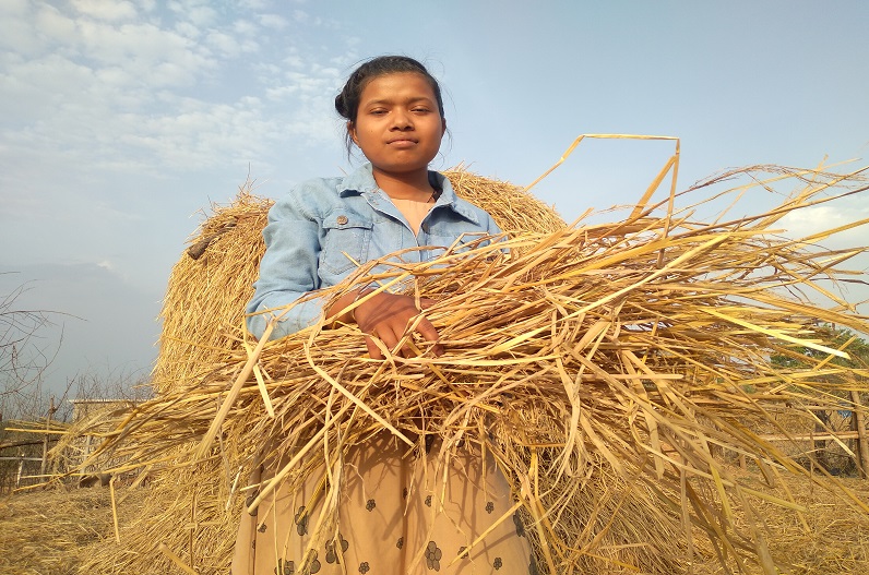IBC24 Swarn Sharda Scholarship 2022 : तेंदुपत्ता संग्रहण करके बबीता बनी 12वीं टॉपर, अब डॉक्टर बनकर करेगी सेवा