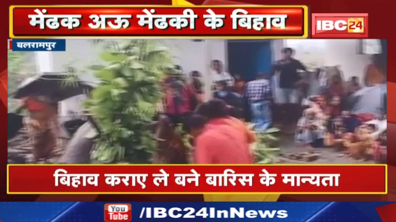 Balrampur News : इंद्र देव ल खुस करे बर मेंढक अऊ मेंढकी के करे गिस बिहाव…बारिस के हे मान्यता…