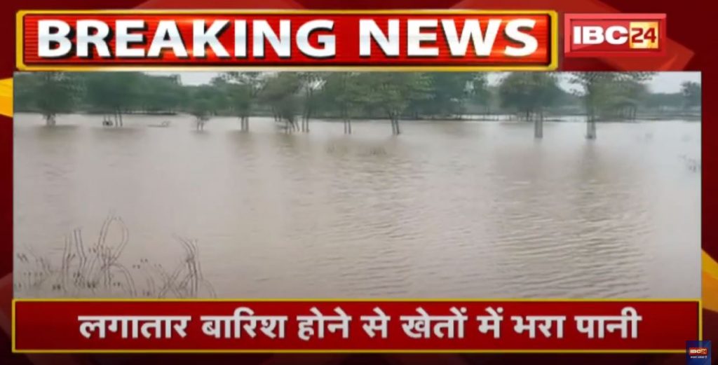 Farm pond in Bemetara | Paddy crop planted in the field will be destroyed due to rain...