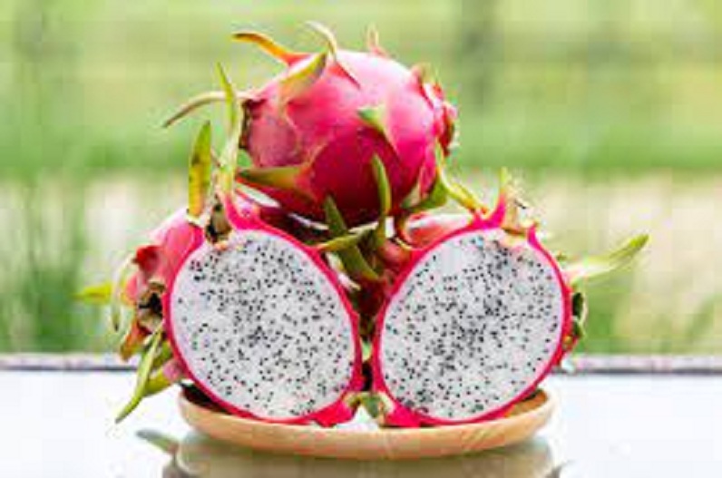 Dragon Fruit