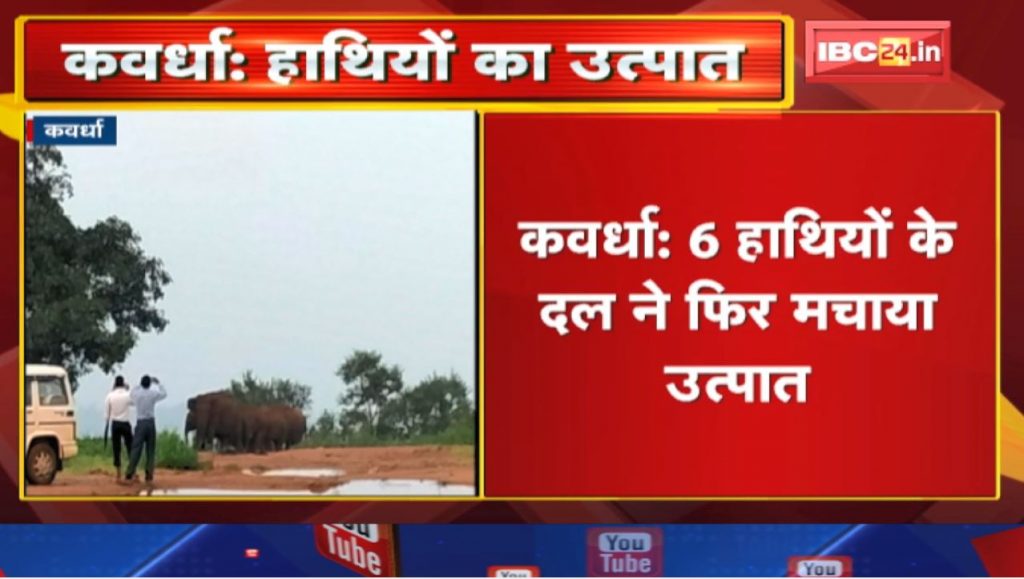 Kawardha Elephant Attack