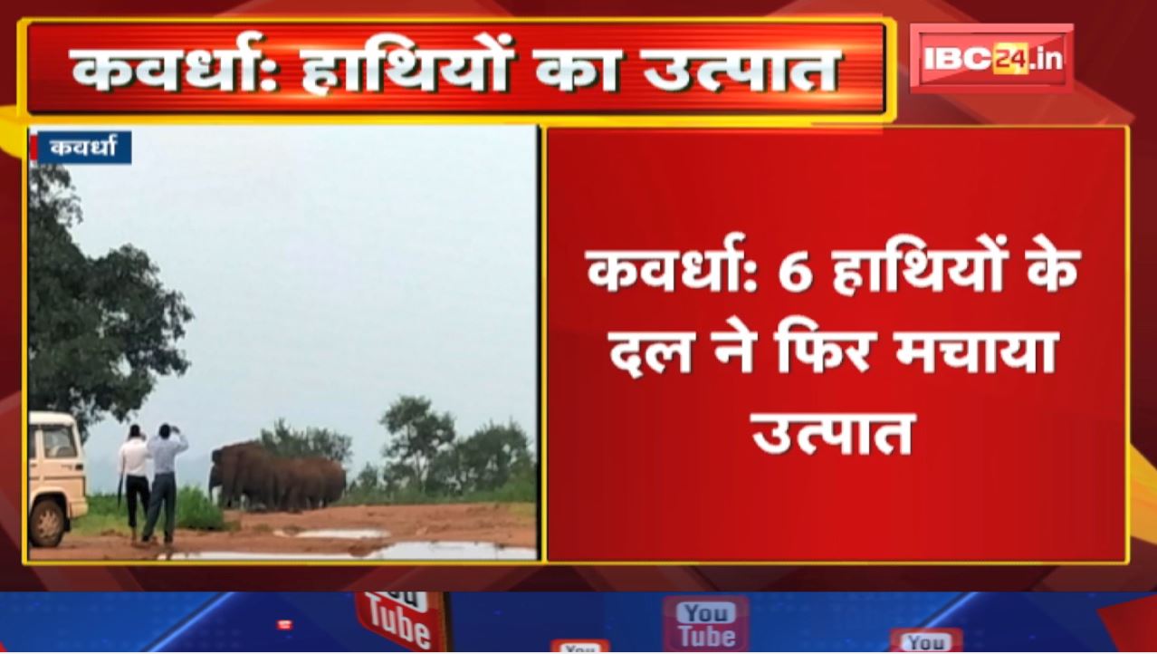 Kawardha Elephant Attack news: घर म रखाए अनाज ल करिस चट | तरेगांव जंगल म मौजूद हे हाथी के दल…