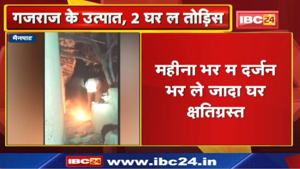 Mainpat Elephant Attack Villagers are watching with the fear of elephants...