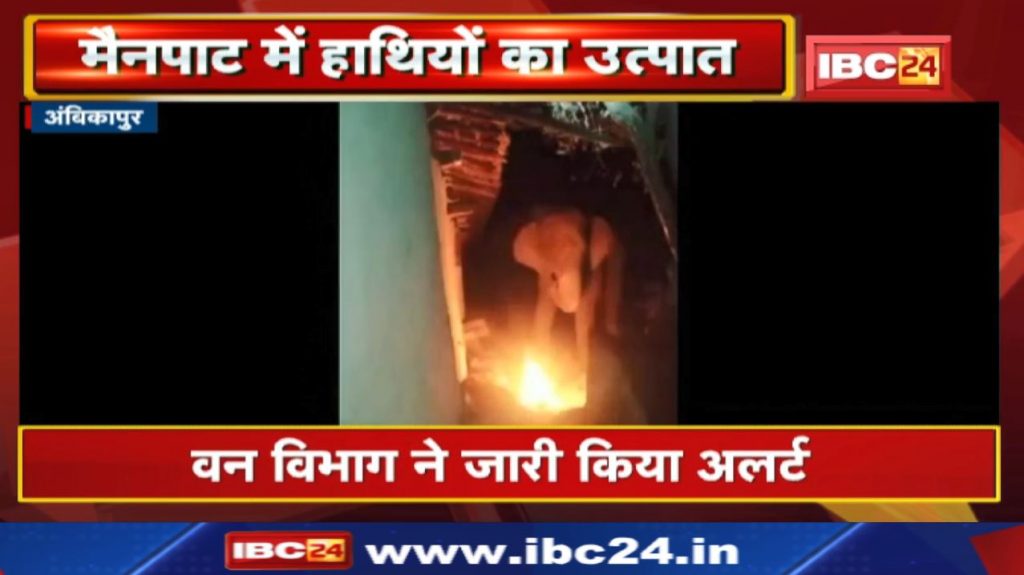 Mainpat Elephant Attack More than 12 houses were demolished in 3 villages...