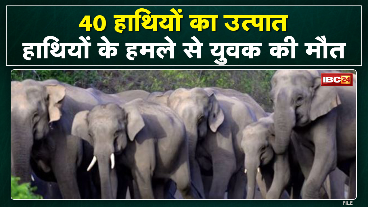Pathalgaon Elephant Attack : हाथी के हमले से युवक की मौत | मृतक के दो भाई बाल – बाल बचे…