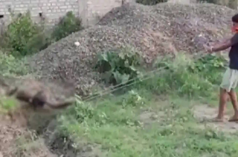 Policeman dragged the dead body