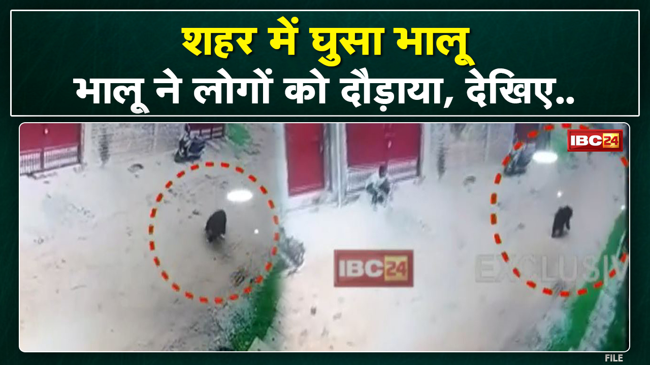 Bear made people run in Ambikapur. People panic due to bear in the middle of the city. Video Viral