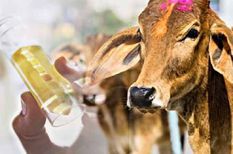 हरेली त्यौहार के दिन से शुरू होगी गौ-मूत्र की खरीदी, प्रथम चरण के लिए इस जिले का हुआ चयन