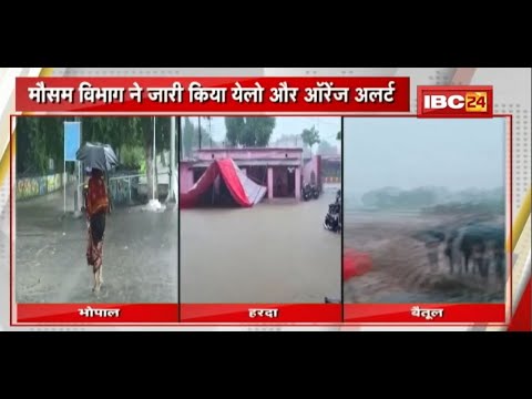 MP में बारिश से नदी नाले उफान पर, कई जगह जलभराव | मौसम विभाग ने जारी किया Yellow और Orange Alert