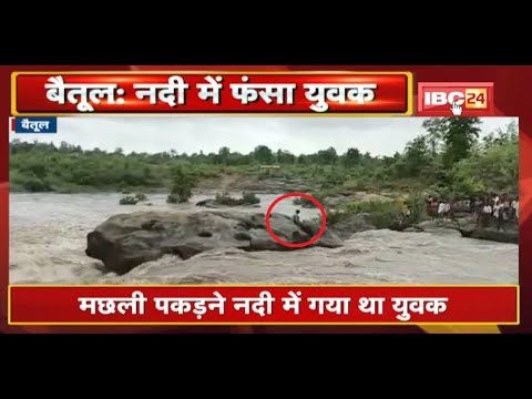Betul Flood News : मछली पकड़ने नदी में गया था युवक, अचानक आई बाढ़ में फंसा | देखिए VIDEO