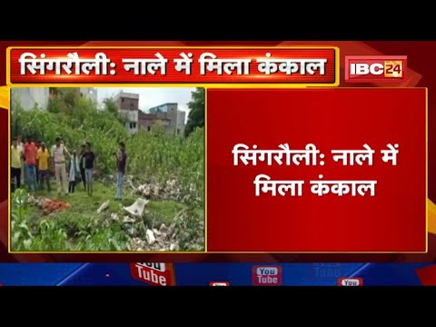 Singrauli : नाले के पास मिला कंकाल। कंकाल के पास कपड़ा भी बरामद। मौके पर जांच टीम मौजूद