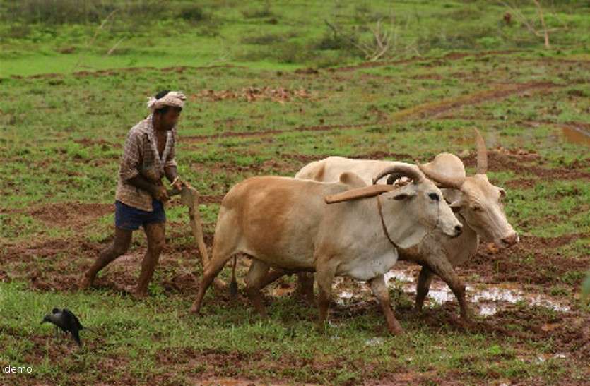 Budget 2023 for Agriculture : किसानों के हित में बजट 2023-24! केंद्रीय वित्त मंत्री ने किया ऐलान, कृषि ऋण का लक्ष्य बढ़कर 20 लाख करोड़ रुपये होगा