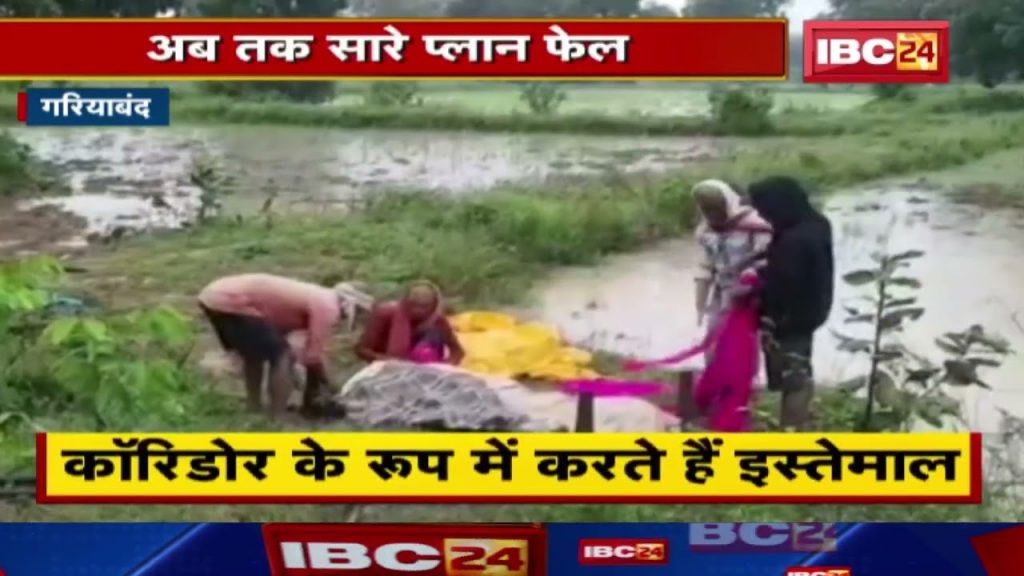 Gariyaband Elephant News: Occupying the jungle, Elephants looking for habitat | All plans so far failed