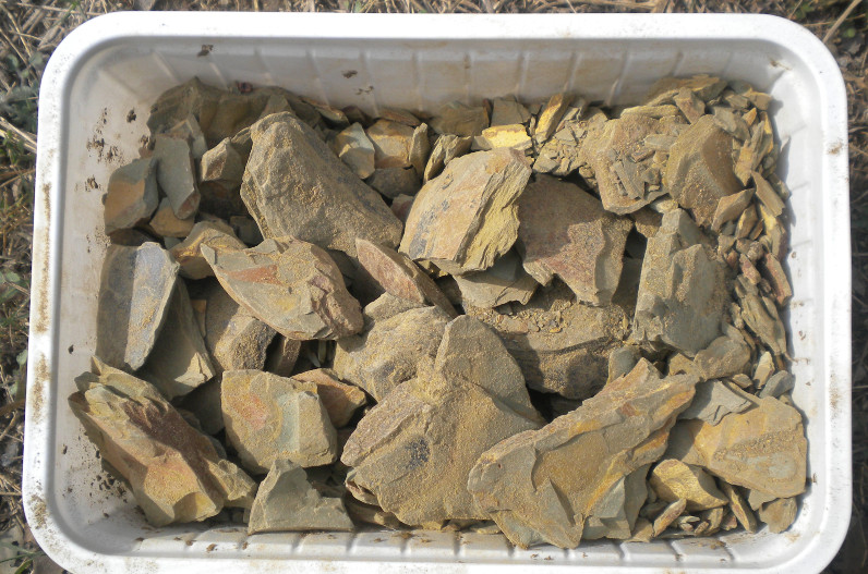 खूबसूरती निखारने में बेहद कारगर है मुल्तानी मिट्टी, इन समस्याओं से भी मिलती है निजात, यहां जानें इसके फायदे