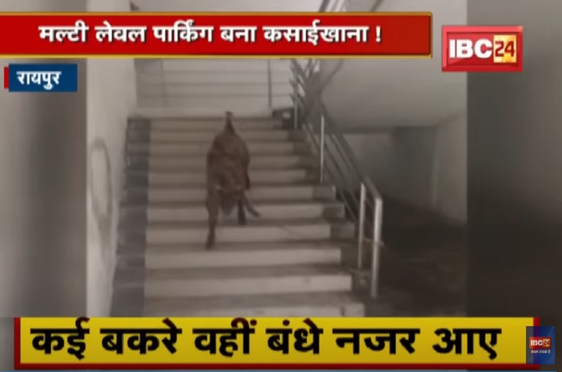 राजधानी का मल्टी लेवल पार्किंग बना कसाईखाना, परदा लगाकर बकरे काटते नजर आए लोग