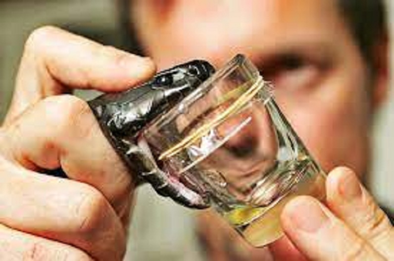 Snake Venom Benefits