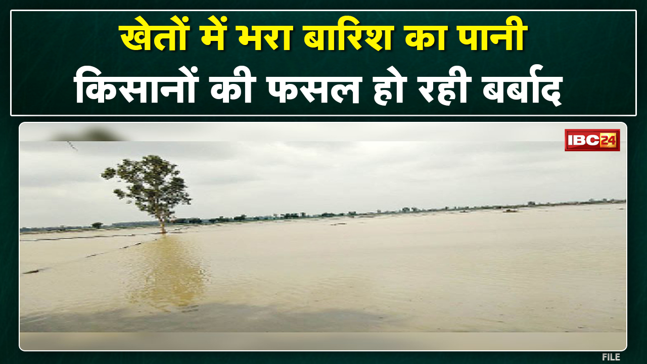 Dhamtari : मानसून बना मुसीबत..खेतों में भरा पानी। 4 सौ एकड़ में लगे धान की फसल को नुकसान
