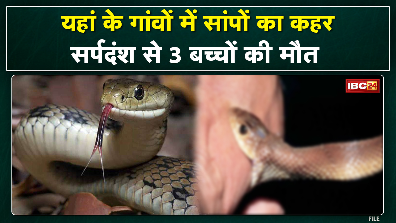 Pendra : Marwahi के गांवों में सांप का कहर। सर्पदंश से 3 मासूमों की मौत। गांव में पसरा मातम