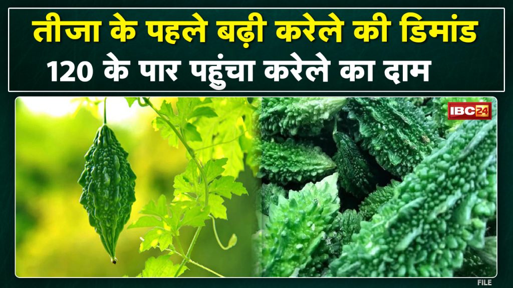 Teeja ceremony.. expensive bitter gourd. One is bitter gourd .. above the rate of Rs 120/-, bitter gourd vegetable is eaten in bitter rice