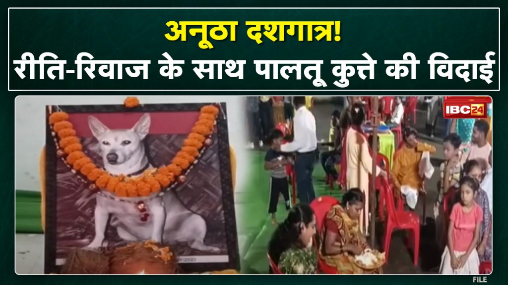 Korba News: Would not have seen such a decade! Death feast for the whole settlement