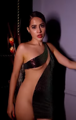 उर्फी जावेद टॉपलेस तो हुईं हैं, लेकिन इसे उन्होंने ट्विस्ट दिया है। उर्फी जावेद ने अपनी बॉडी पर फ्रंट पार्ट में चांदी का वर्क लगाया है, जिससे अपने बॉडी पार्ट्स को कवर किया है।