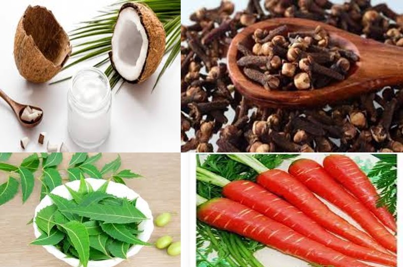 पेट की आंतों को खराब कर सकती है ये लापरवाही, पनपते हैं कीड़े, अपनाएं ये उपाय