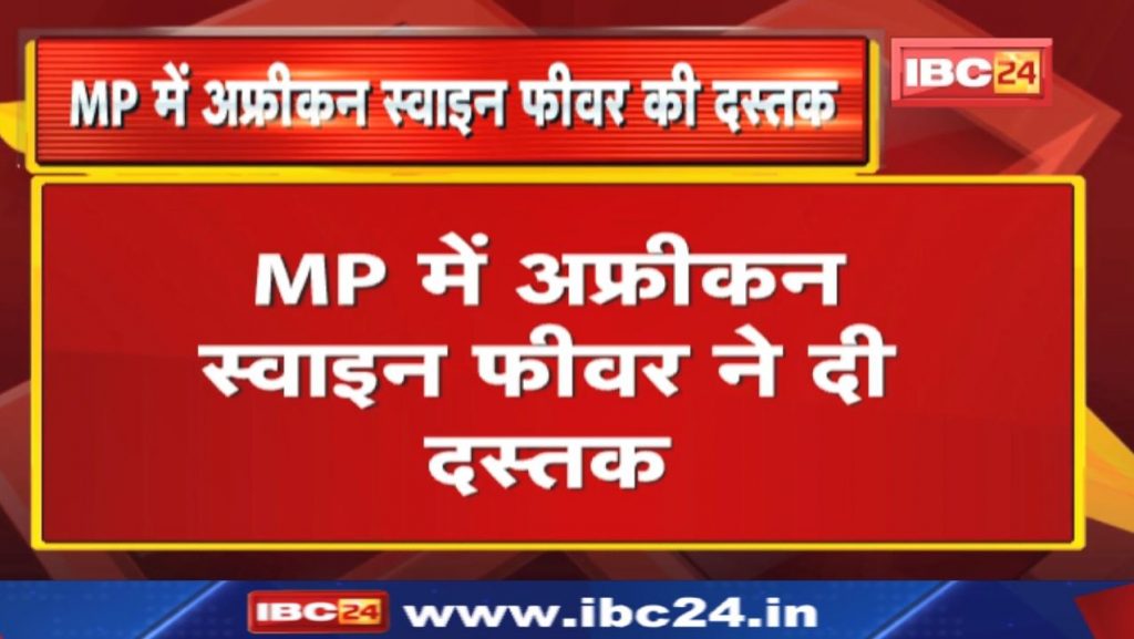 African Swine Fever : African Swine Flu Knocking | Confirmation of ASF virus infection in 11 pigs