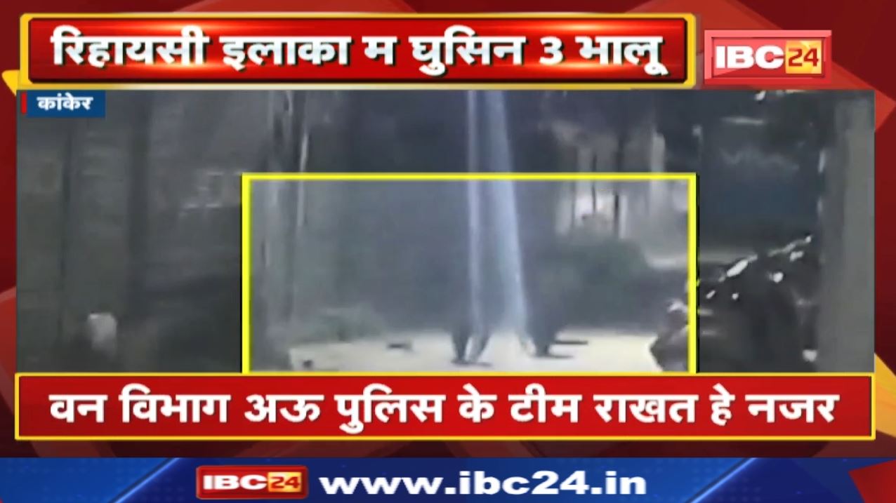 Bear Attack : रिहायसी इलाका म घुसिन 3 भालू | कांकेर के मांझा पारा वार्ड के मामला…