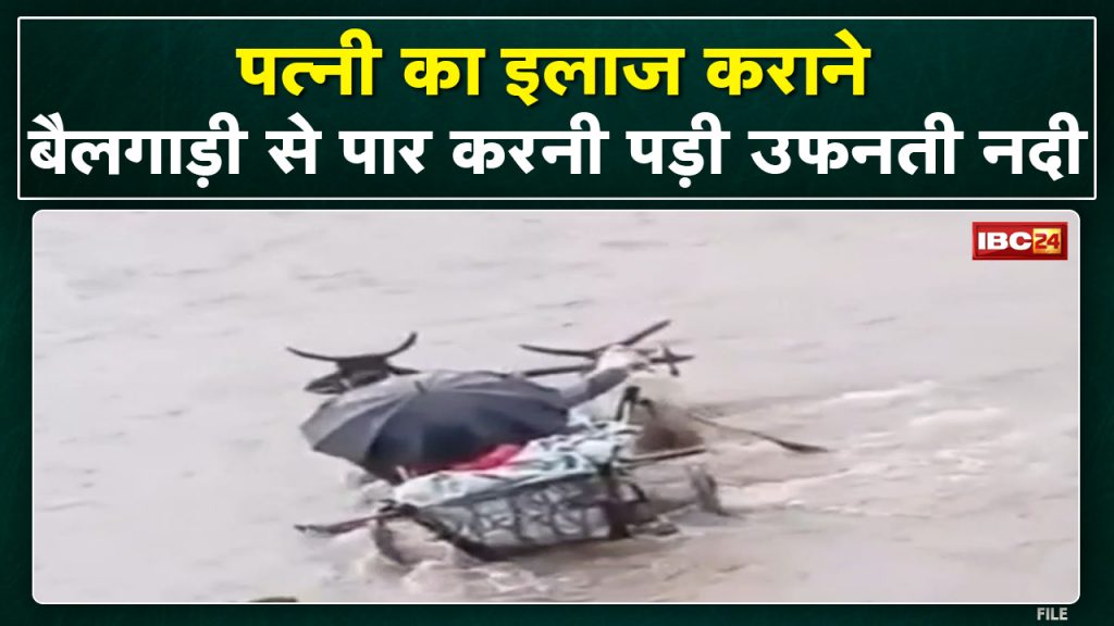 Betul News Watch the boiling river of a sick woman being crossed by a bullock cart Viral Video..