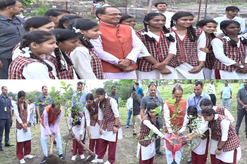 CM planted saplings