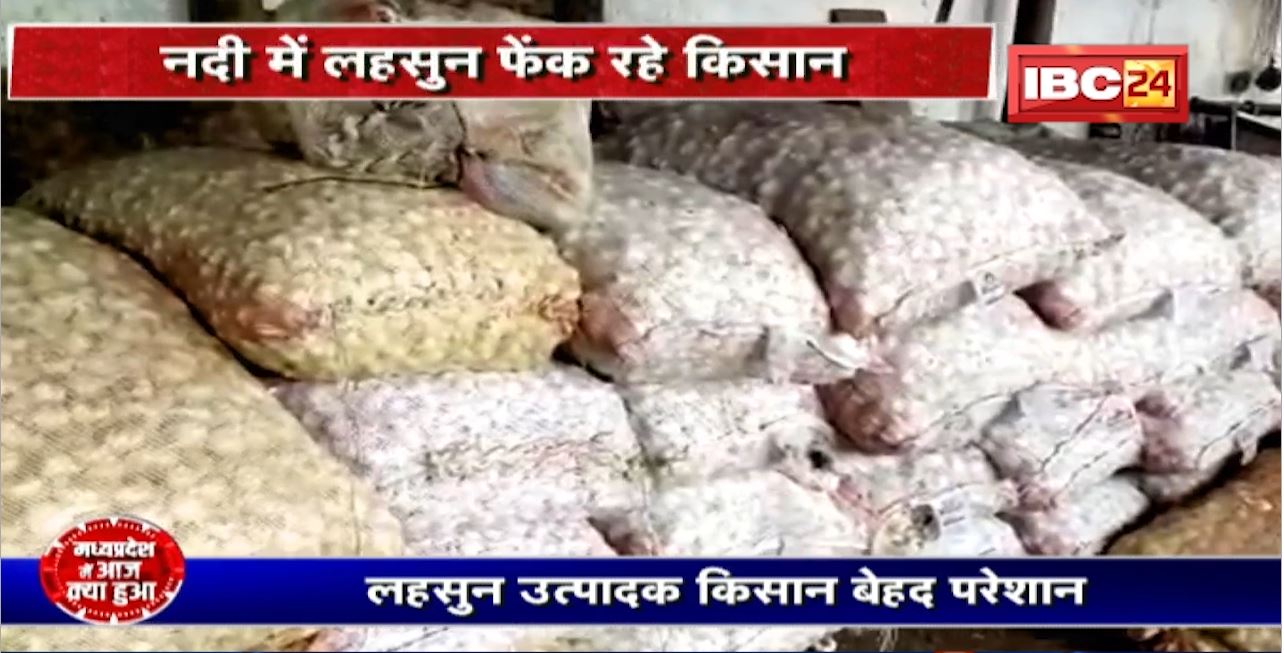 लहसुन उत्पादक किसान बेहद परेशान। नदी में लहसुन फेंक रहे किसान। कम दाम के चलते लागत निकाल पाना भी मुश्किल