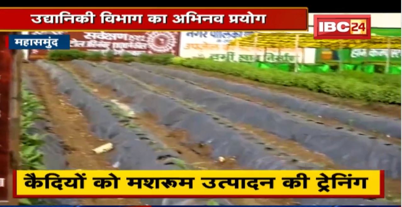 ‘जेल के साथ भी, जेल के बाद भी’ कैदियों को दी जा रही आर्गेनिक खेती की ट्रेनिंग | जी सकेंगे सिर उठाकर.