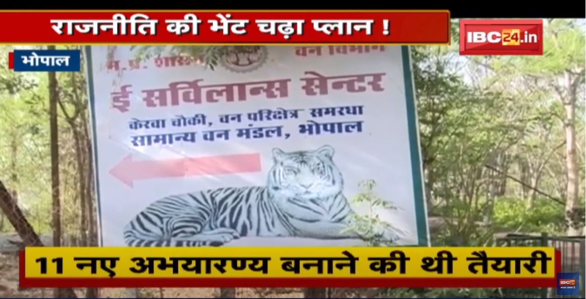 वन-वन्यजीव संरक्षण का प्लान अधूरा | राजनीति की भेंट चढ़ा प्लान ! देखिए पूरी Report