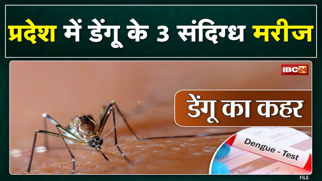 Chhattisgarh Dengue Case Update: 3 suspected dengue patients found here in the state...