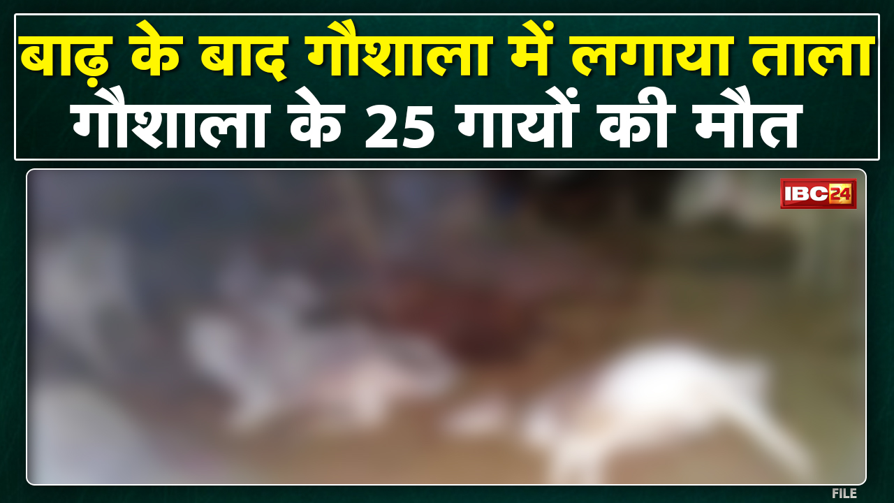 Rajgarh News : गौशाला के 25 गायों की मौत | गौशाला संचालक समेत 3 लोगों पर FIR