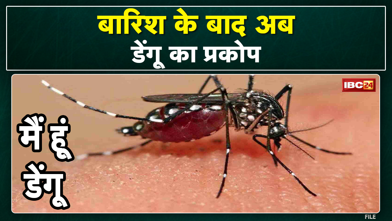 Dengue : इस जिले में पसरा डेंगू का आतंक | एक ही दिन में मिले 18 मरीज, स्वास्थ्य अमले में मचा हड़कंप
