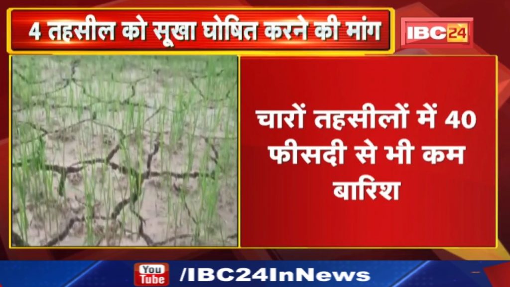 Drafted: This Chhattisgarh Congress MLA demanded to declare these tehsils as drought. Know the reason...