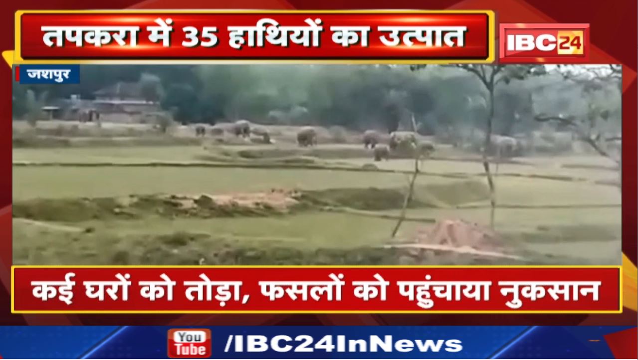 Elephant Attack: तपकरा क्षेत्र में 35 हाथियों का उत्पात | कई घरों को तोड़ा, फसलों को पहुंचाया नुकसान