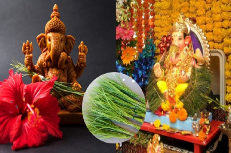 Use these leaves at the time of worship in Ganeshotsav